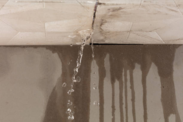 Professional Burst Pipe Cleanup technician working in Snowville, UT